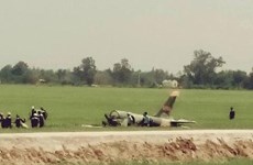 L-39飞机训练中坠毁