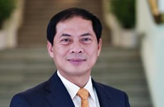 越南外交部副部长裴青山就第29届外交会议的结果接受采访