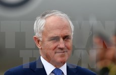 澳大利亚总理呼吁有关各方通过和平方式解决东亚和东海争端