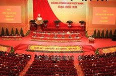 越南驻马来西亚大使馆党部学习贯彻落实越共十二大的决议