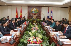 越南国会主席阮氏金银同老挝国会主席巴妮•雅陶都举行会谈
