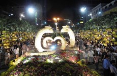 胡志明市正为2017年世界文化节积极做准备