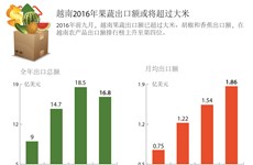 越南2016年果蔬出口额或将超过大米
