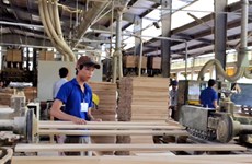 越南对美国的木材出口额保持15%的年均增速