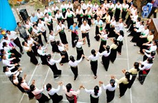 越南着力将傣族群舞列入《人类非物质文化遗产代表作名录》