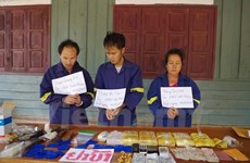 越南政府副总理张和平：绝不能使边境地区成为毒品交易的集散地