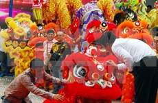 2016年胡志明市第一次麟狮龙舞联欢会在胡志明市举行