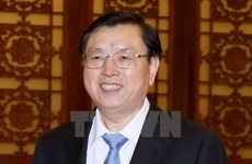 中国全国人大常委会委员长张德江即将对越南进行正式友好访问