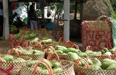 越南南部前江省特产刺果番荔枝价格猛涨