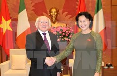 越南国会主席阮氏金银会见爱尔兰总统迈克尔•希金斯