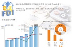 图表新闻：2017年前6月越南吸引外商直接投资（FDI)额达190亿美元
