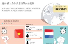  图表新闻：越南-荷兰合作关系继续向前发展