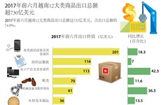 图表新闻：2017年前六月越南12大类商品出口总额超730亿美元