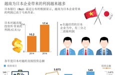 图表新闻：越南为日本企业带来的利润越来越多