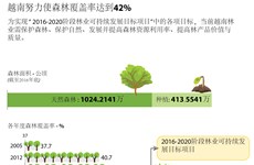 图表新闻：越南努力使森林覆盖率达到42%