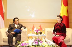 亚太议会论坛第26届年会：越南国会领导人会见国际客人（组图）