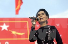 缅甸选举：反对党民盟赢得77.3％选票