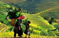 有关越南的摄像照片在欧洲网站闪光