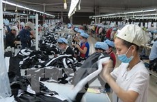 2015年越南恢复生产企业比例大幅度增加