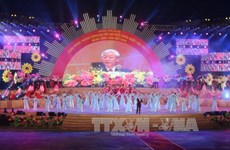 越南举行盛大文艺晚会 庆祝越共十二大取得圆满成功 