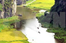 越南将举行响应世界水日和世界气象日的系列活动