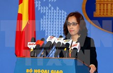 越南外交部副发言人：有关各方应避免采取使北部湾湾口海域局势复杂化的单方面行为