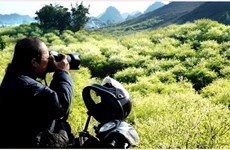 木洲——摄影爱好者的目的地