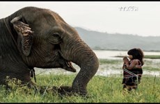 《捏塑大象—拯救大象》——提高野生动物保护意识的实习班
