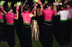 越南着力将傣族群舞列入《人类非物质文化遗产代表作名录》