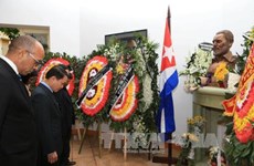 越通社领导献花悼念古巴革命领袖菲德尔•卡斯特罗（组图）