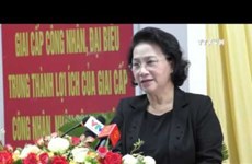 越南国会主席阮氏金银接触了芹苴市选民
