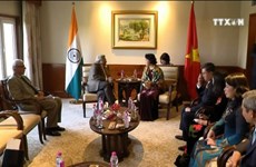 越南国会主席阮氏金银对印度进行正式访问