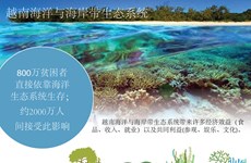 越南海洋与海岸带生态系统