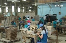 越南加大对欧盟市场木材与木制品出口力度