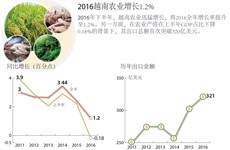 2016越南农业增长1.2%