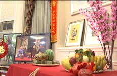 越南驻中国大使馆举行2017丁酉年春节见面会
