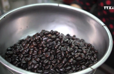 越南零售咖啡市场增速名列前茅