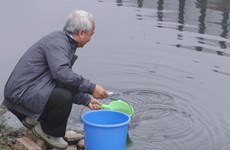 越南科学家将苏历江污水净化成饮用水
