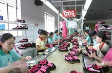至2020年越南皮革鞋类产品出口额可达240-260亿美元