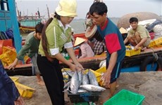 广平省海鲜市场重现活跃