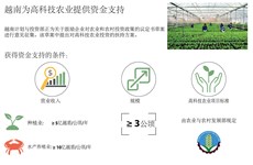 越南为高科技农业提供资金支持