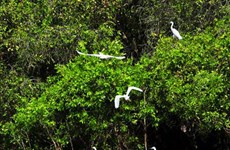 大湄公河次区域生物多样性保护工作面临诸多挑战