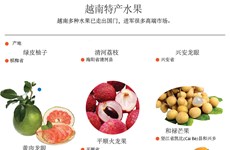 越南特产水果