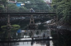 河内市力求净化河湖水质措施