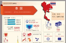 图表新闻：亚太经合组织成员经济体——泰国