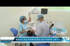 越南努力将牙科旅游发展成为医疗旅游的主要产品