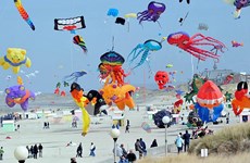 2017年岘港风筝节举行在即