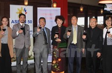 越南驻南非大使馆举行文化旅游与饮食周活动