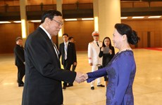 越南国会主席阮氏金银与泰国国家立法议会议长蓬佩举行会谈（组图）