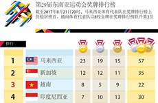 图表新闻：第29届东南亚运动会奖牌排行榜